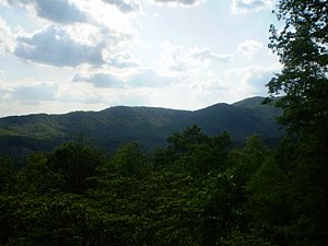 P5170123.JPG