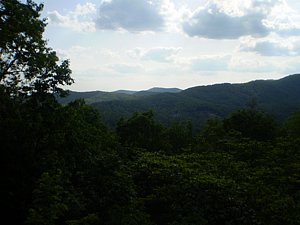 P5170126.JPG