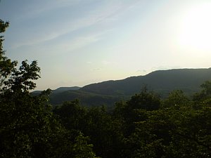 P5170130.JPG