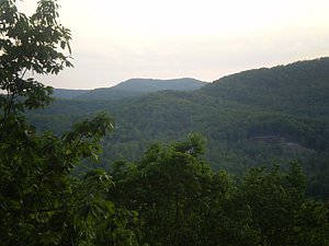 P5170141.JPG