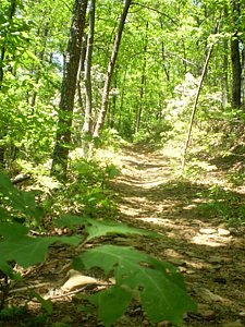 P5190190.JPG